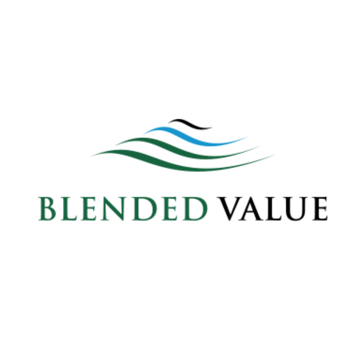 Blended Value Group