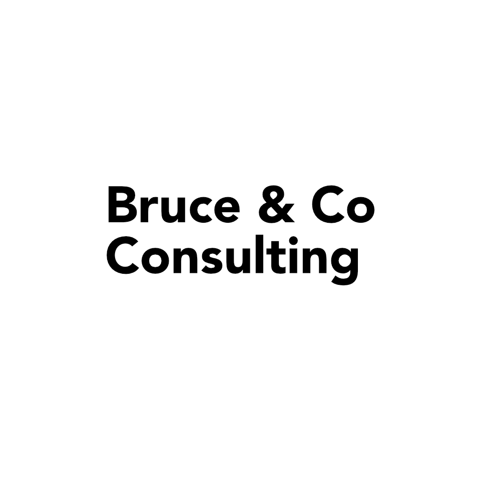 Bruce & Co. Consulting