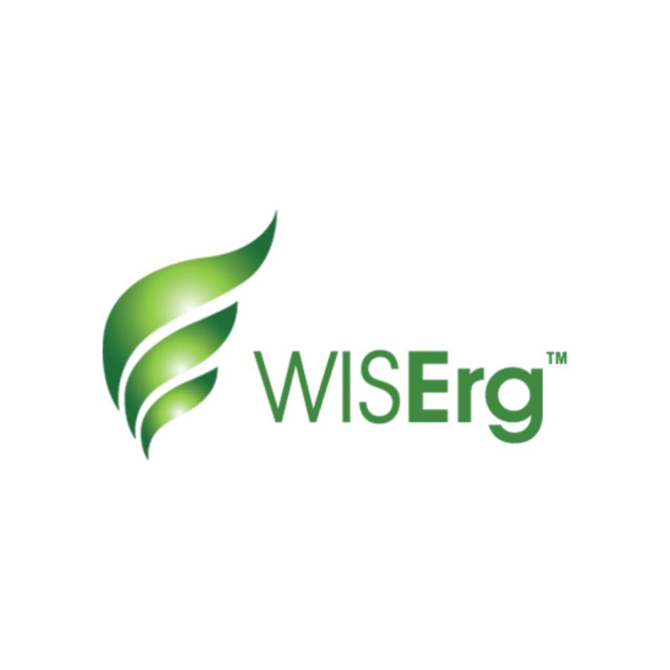 WISErg Corporation