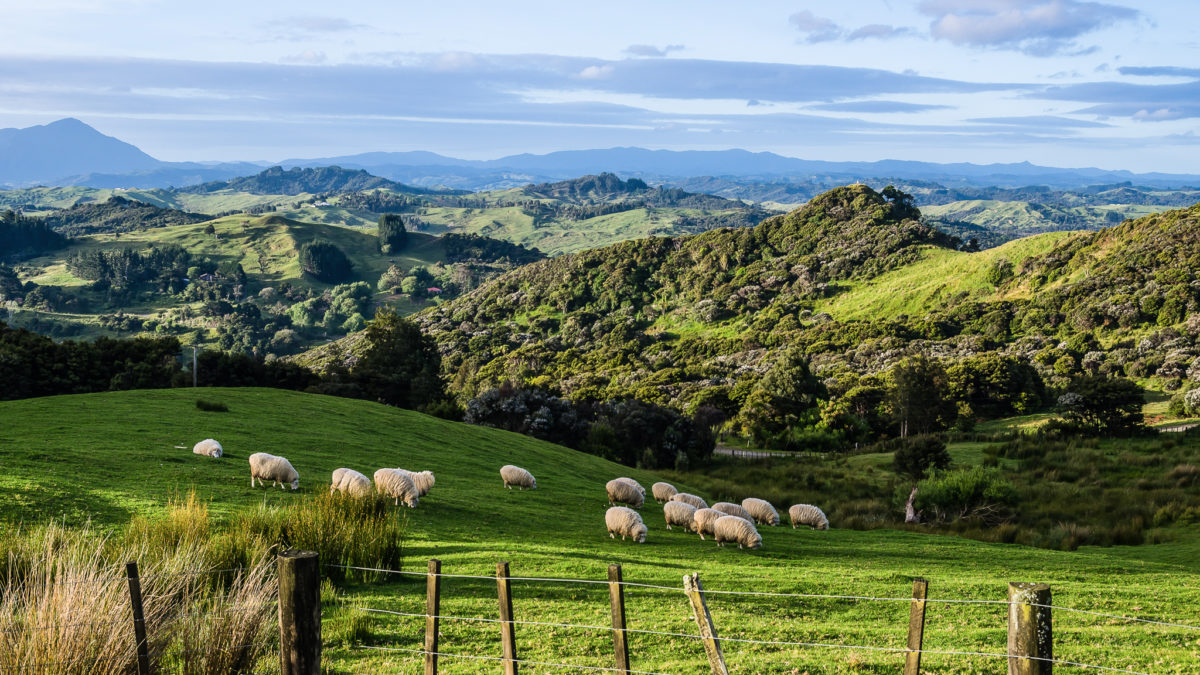 New Zealand’s groundbreaking climate policy may soon be the new normal