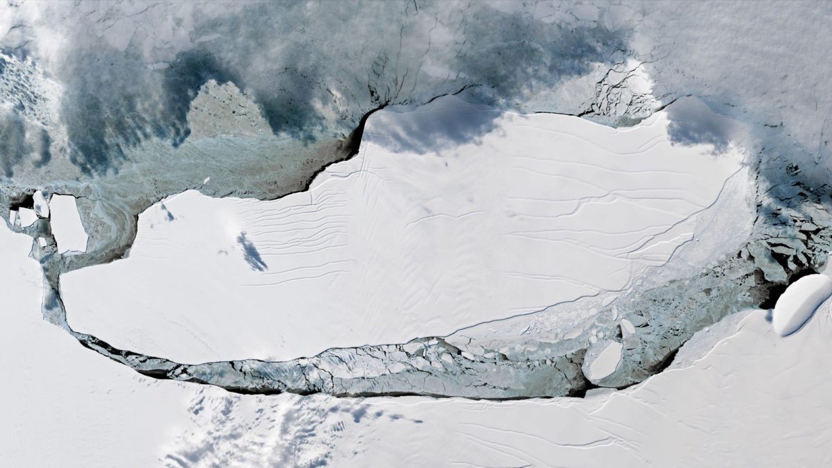 Antarctic iceberg 80 times the size of Manhattan threatens penguin colonies