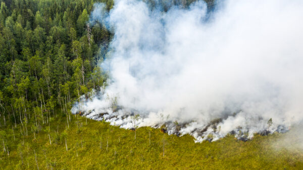 Siberia’s wildfires scorch the permafrost and cloud the Arctic