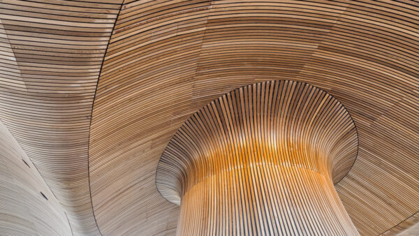 Is wood the new concrete?