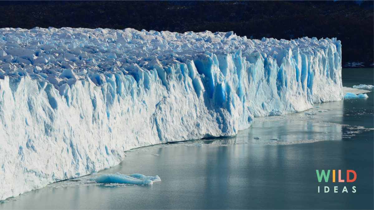 Can glaciers be engineered to buy us time?