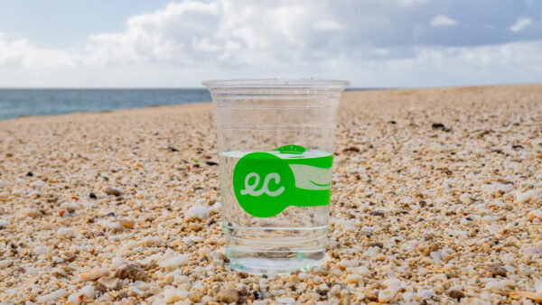 Earth Cups: Two Williams grads are taking down Solo one green cup at a time