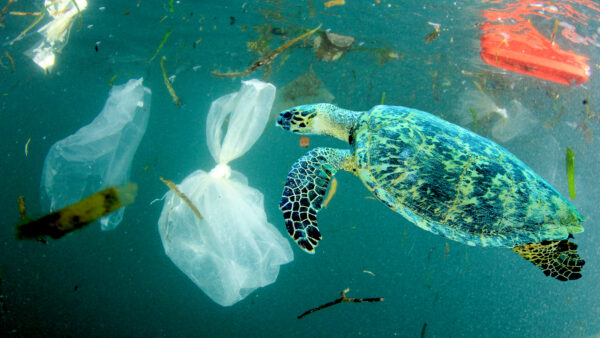 Can we negotiate our way out of a world awash in plastic waste?
