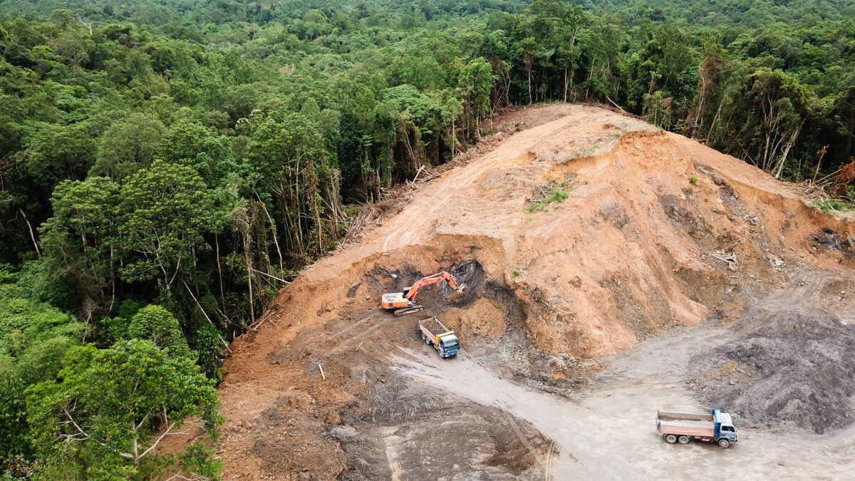Five reasons investors and the finance sector need to act on deforestation